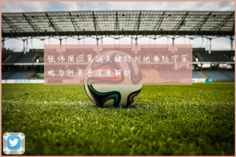 张伟丽卫冕战关键时刻地面防守策略与胜负手深度解析